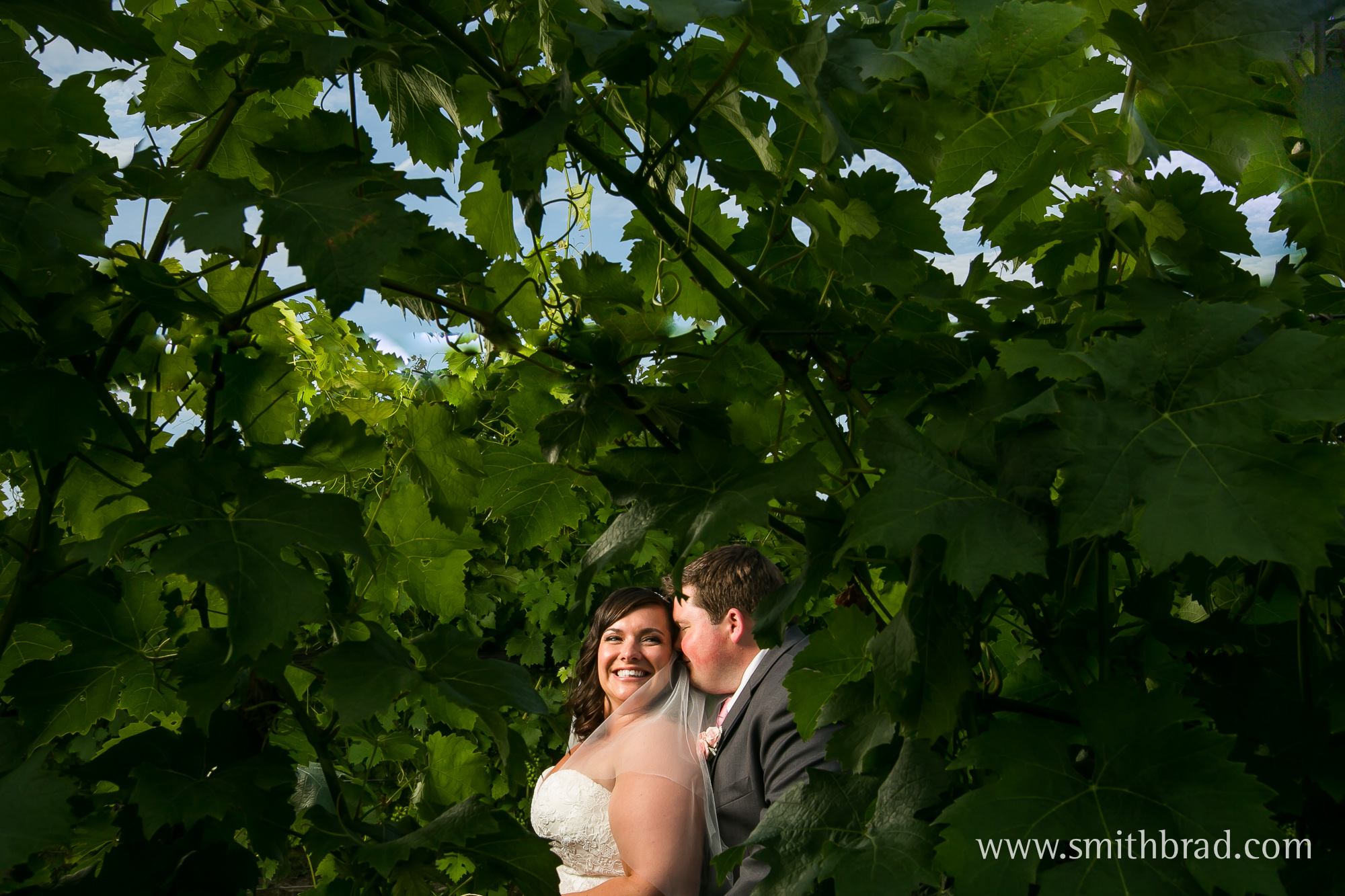 Jonathan_Edwards_Winery_Wedding_Photography_Vineyard-17