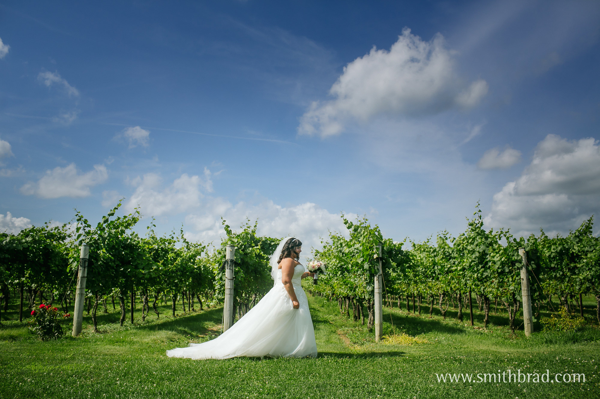 Jonathan_Edwards_Winery_Wedding_Photography_Vineyard-2