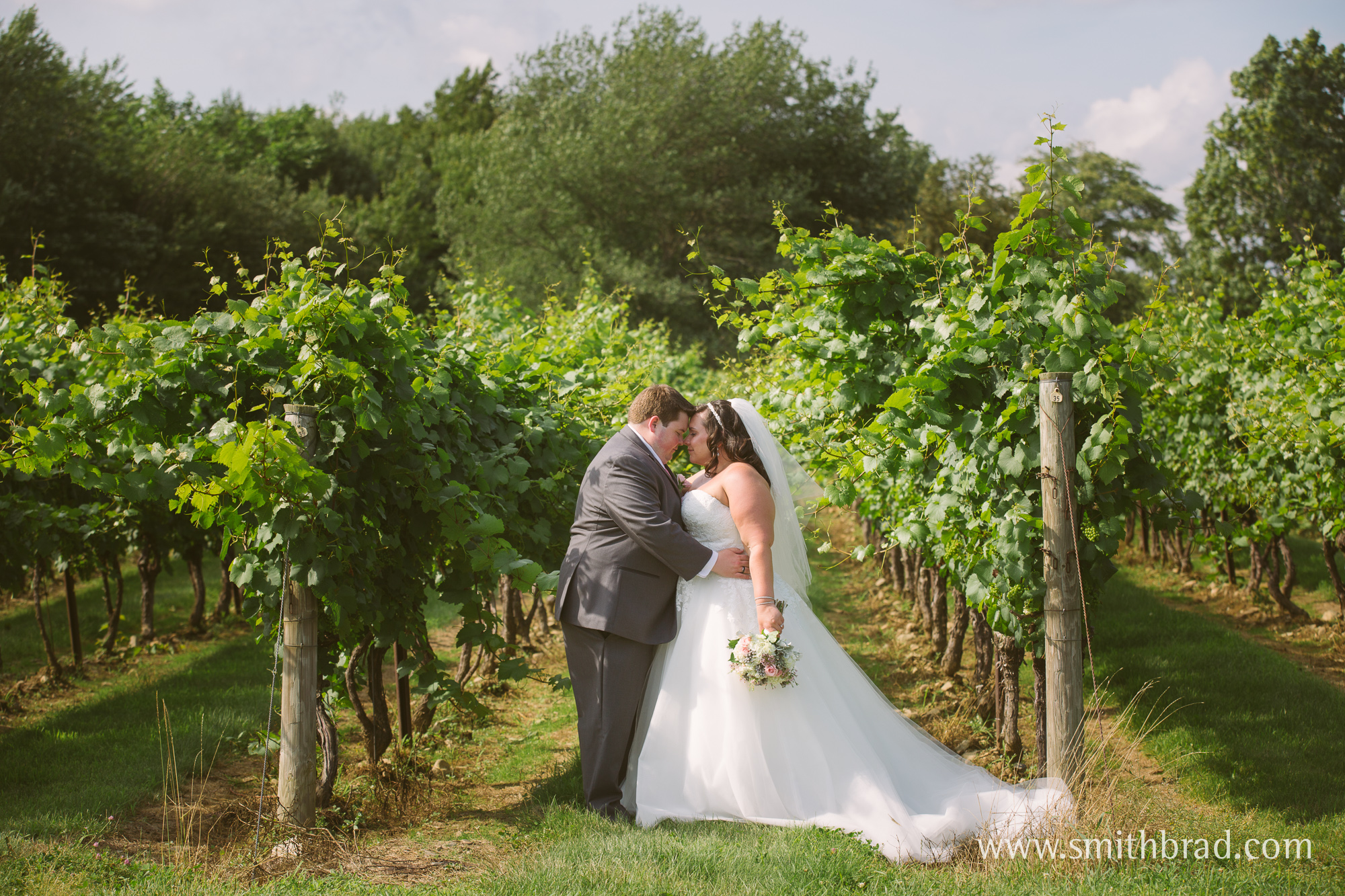 Jonathan_Edwards_Winery_Wedding_Photography_Vineyard-9